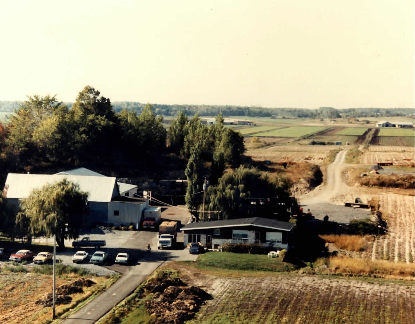 Légumes - Ferme